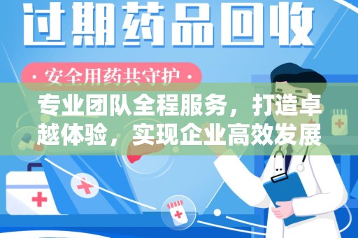 沈阳专业团队全程服务，打造卓越体验，实现企业高效发展