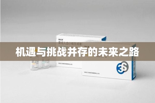 沈阳机遇与挑战并存的未来之路