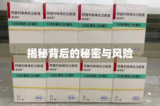 沈阳揭秘背后的秘密与风险