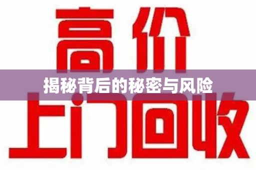 沈阳揭秘背后的秘密与风险
